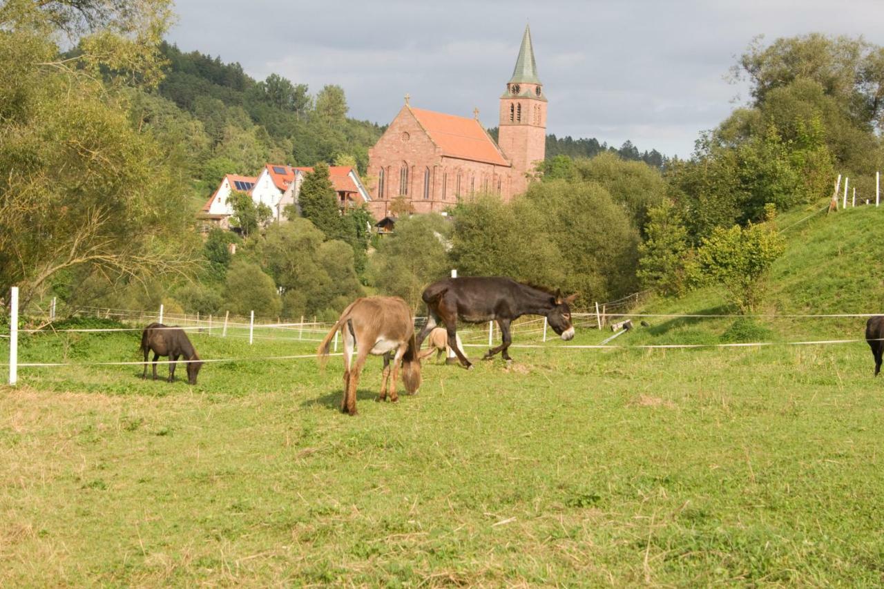 Ferienwohnung Spreter Zimmern ob Rottweil Exterior photo
